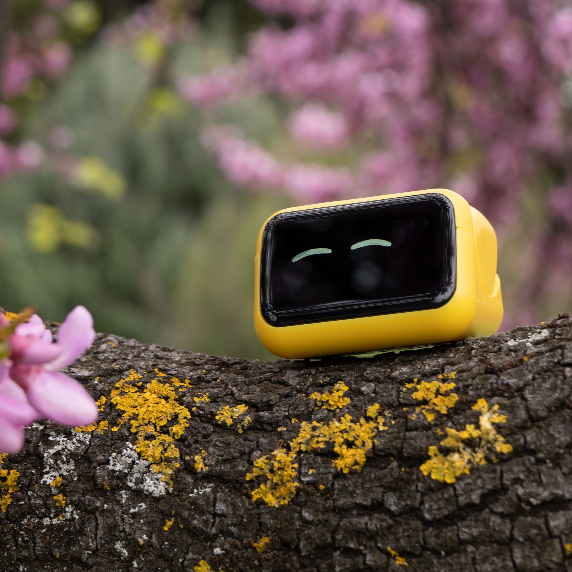 Интерактивный робот-компаньон The Adorable Ortomi Umi Companion